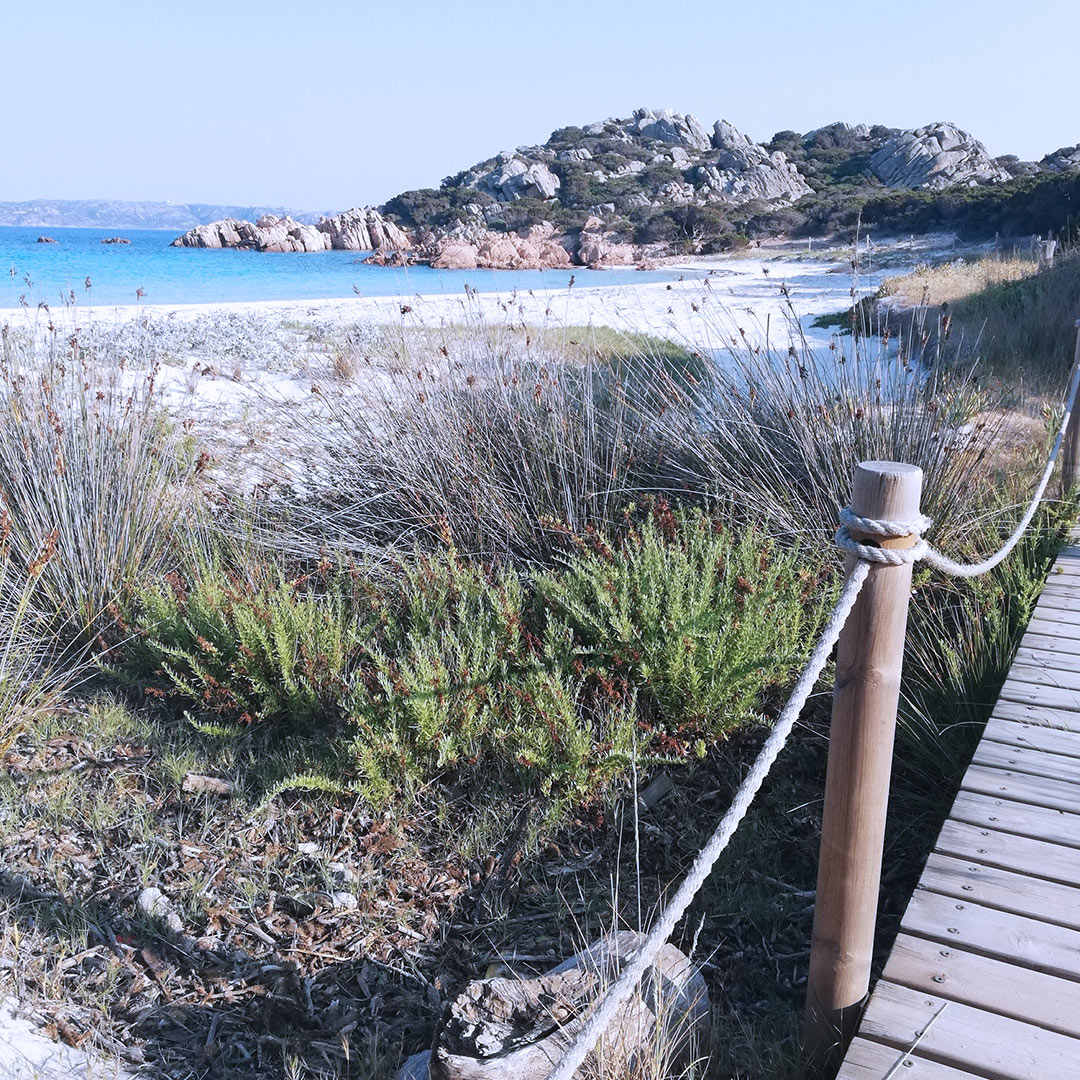 vacanza in sardegna e corsica