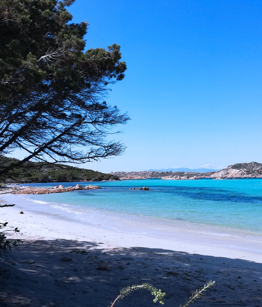 vacanza in sardegna e corsica
