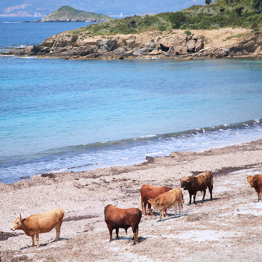 Sardegna del Sud