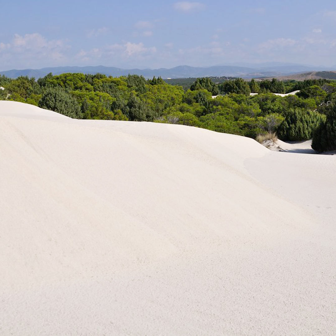 Sardegna del Sud